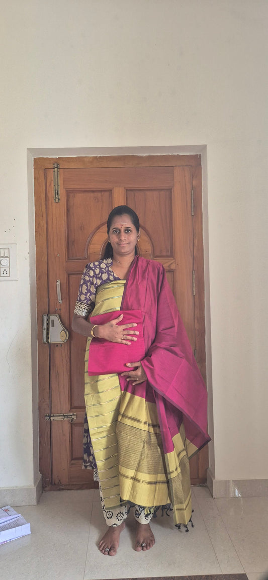 Pochampally Silk 1