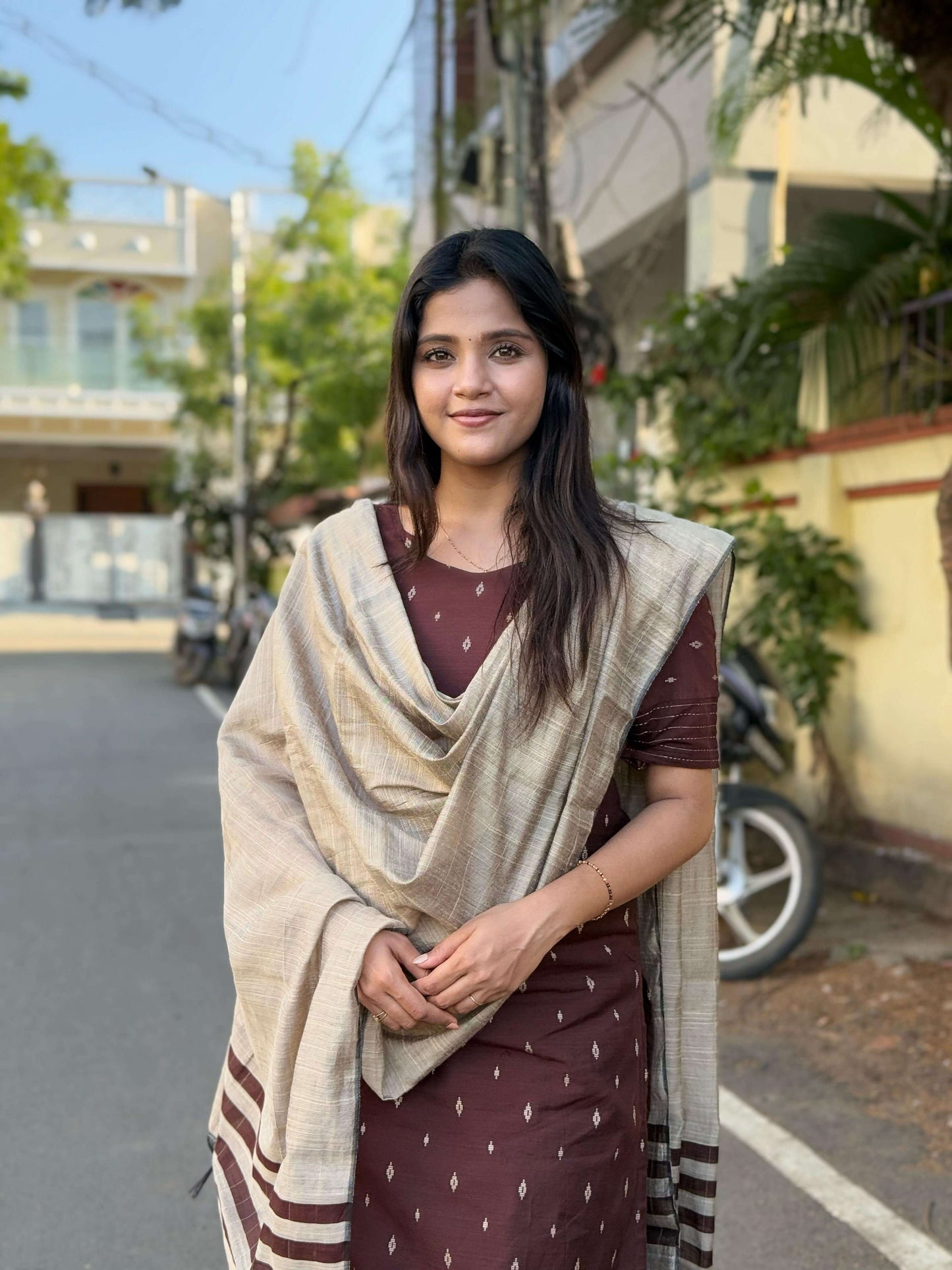 Brown Silk