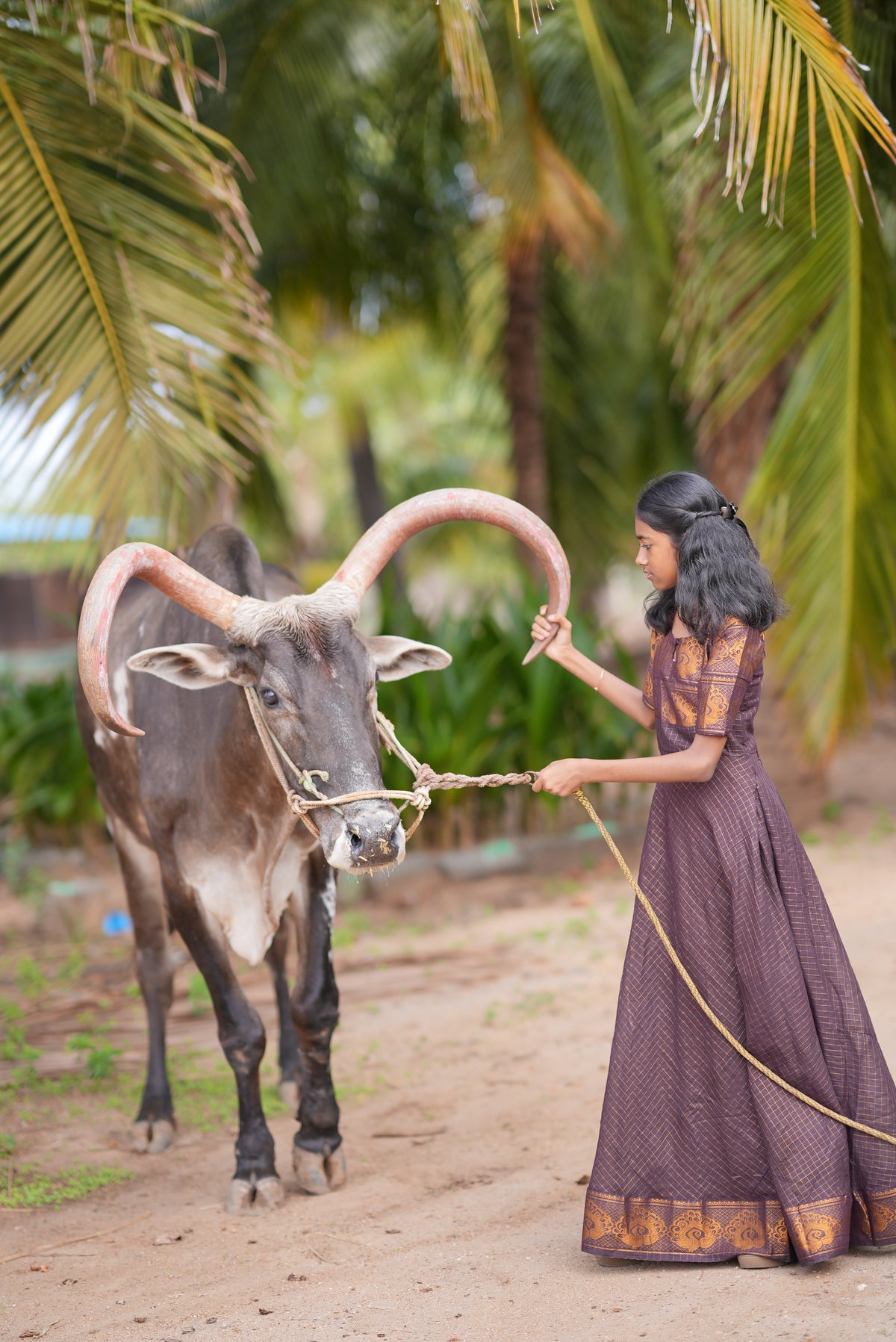 Self Sungudi Anarkali